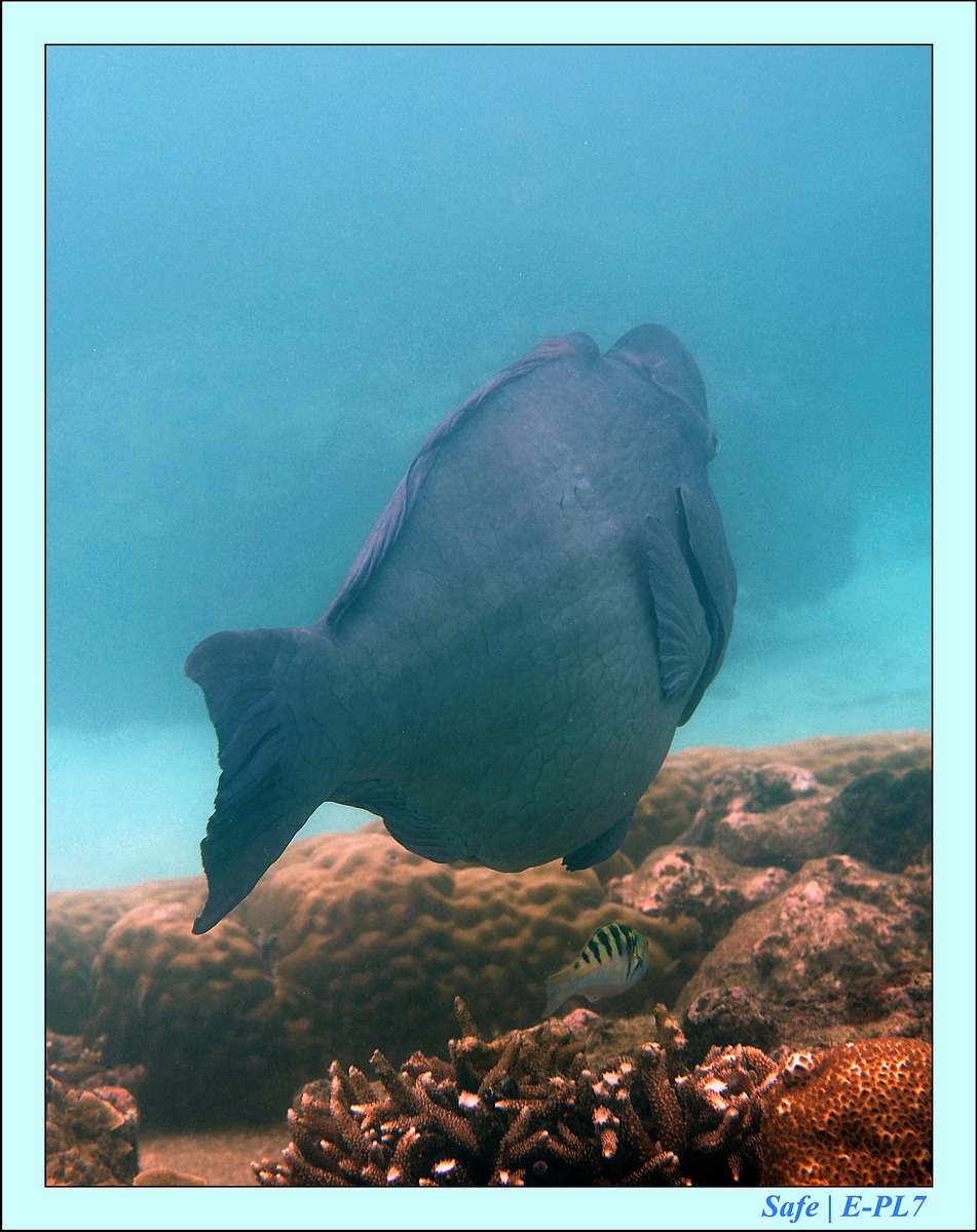 2015   07   Peranthian Islands 68